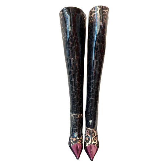 Botas Giuseppe Zanotti