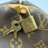 Bolsa Louis Vuitton - Shopsell
