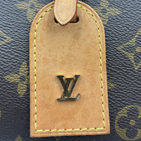 Bolsa Louis Vuitton