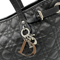 Bolsa Dior