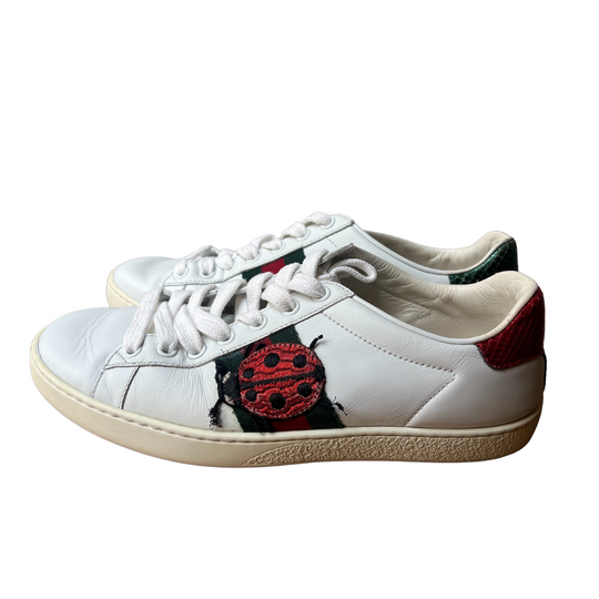 Sneakers Gucci